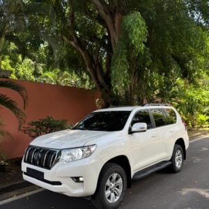 TOYOTA PRADO 2019