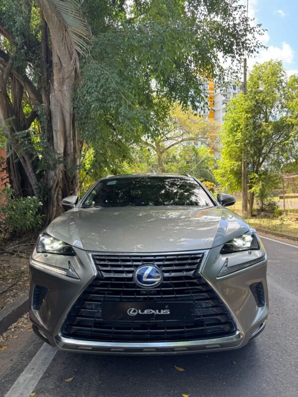 LEXUS NX300H 2019 - Imagen 2