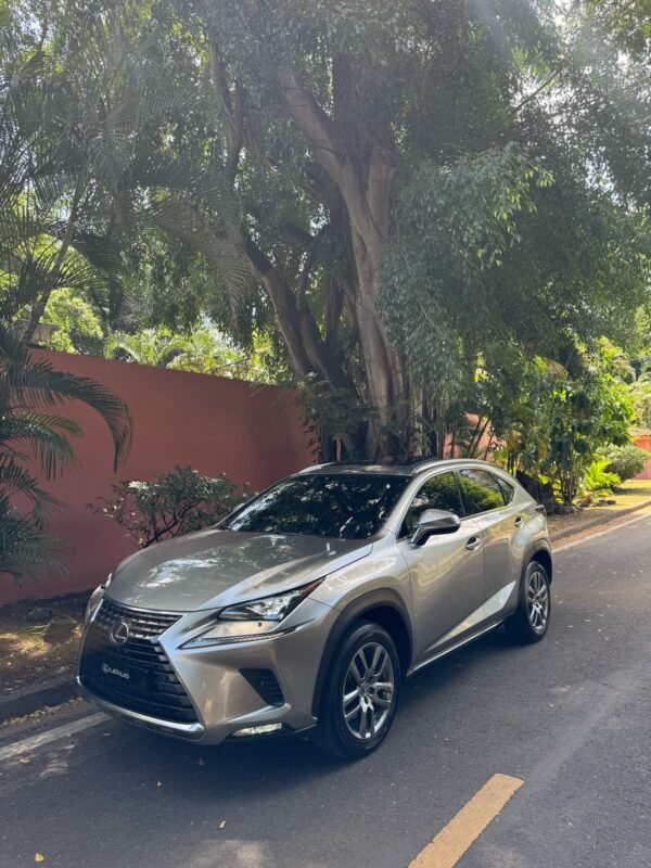 LEXUS NX300H 2019