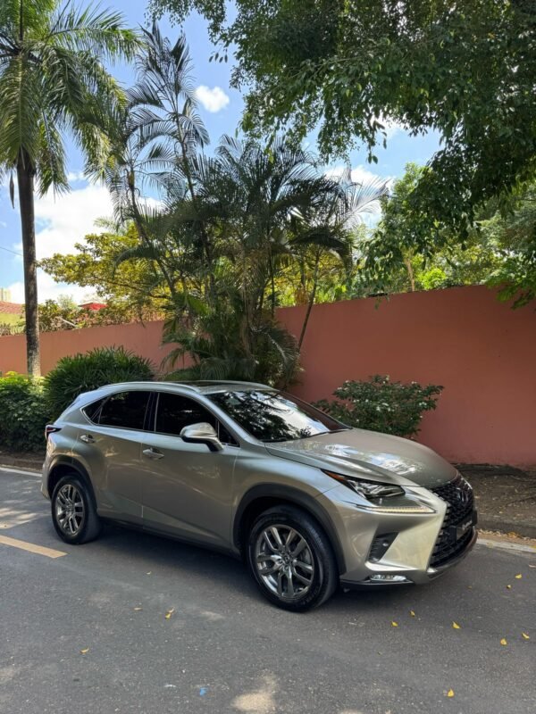 LEXUS NX300H 2019 - Imagen 4