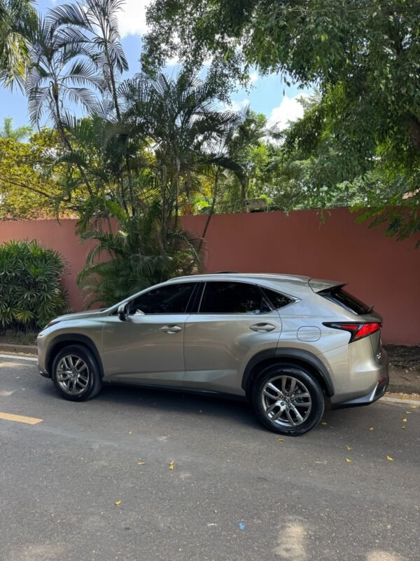 LEXUS NX300H 2019 - Imagen 5