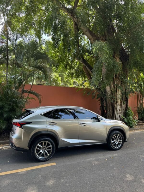 LEXUS NX300H 2019 - Imagen 3